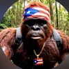 boricuamonkeypr