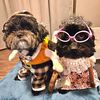 finley_thepoo.and.gus