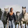 silke.frischbranderup