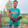 autofarm555