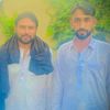 adnangujjar4276