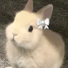 ipxwashi