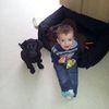 alfie31.e