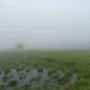 jno_yuu