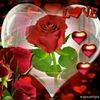 abpocan78
