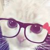 _fairyyystars3