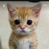 zumma_927