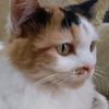 miwmiwoney