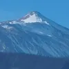 armandoflorescordero