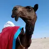 qqwq9