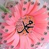 user7547117059428