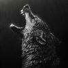wildwave8
