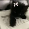 kis..cat..kis