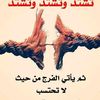 omaralsaeed228