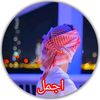 ajmal.khan1x
