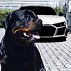 RGGR