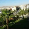 manalelmahmoudi