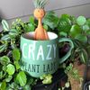 crazyplantlady58