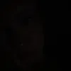 thsxry
