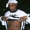 5starr.s0ph1a