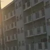 getsumatsuneedle