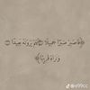 battal905