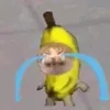 owwkat