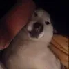 theoriginalvalko