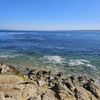 ocean.luvrr