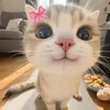 chicutequahihi