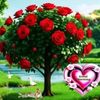 user7605914105427