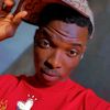 shepherd_yt