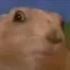 brownieh3h3