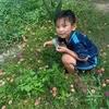 thainguyen1267