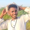 wdalbsher249