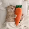 cirengmeletupp