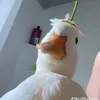 vitnek_999
