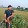 mdabdulmomin4071