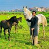 mohamed_latrash