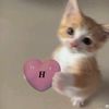 ltmyhien