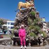 gatitomici