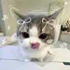 thirikhinsoe145