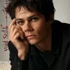 void_stiles19
