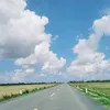 bongdaphuict