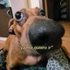 tefa_rez