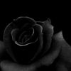 sadsd44