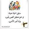 ommozan4