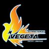 estructurasvegeta