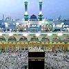 seada.nasr