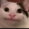 tem4ek11